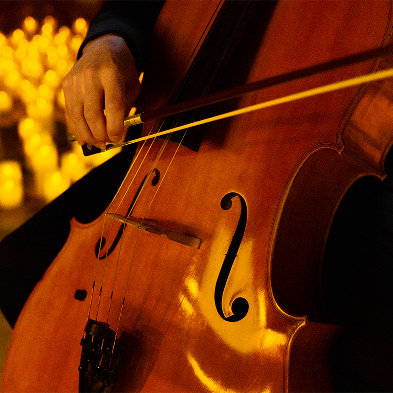 Candlelight Le quattro stagioni di Vivaldi