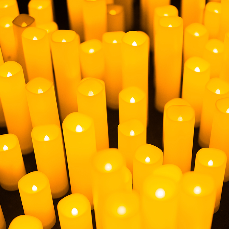 Candlelight Le quattro stagioni di Vivaldi